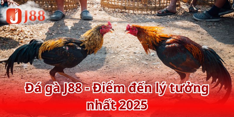 Cập nhật Top 5 hình thức đá gà được yêu thích nhất J88